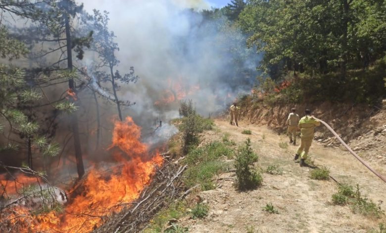 orman yanginina sebep olan 9 kisi gozaltina alindi bir kisi tutuklandi b9aca307fead |