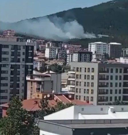 Pendik Aydos Ormanı’nda yangın kontrol altına alındı 1 pendik aydos ormaninda yangin kontrol altina alindi 29ef03e8fca3 |