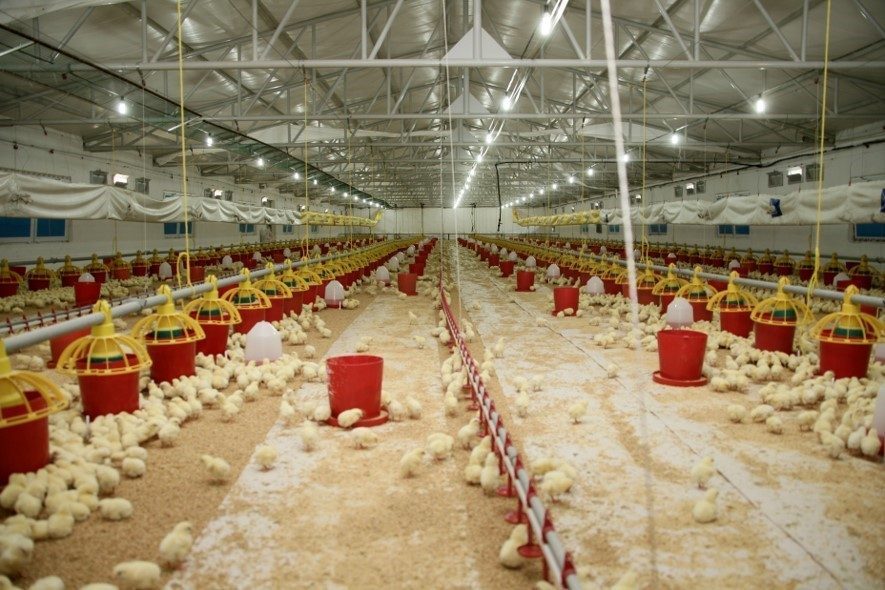 senpilic ekosistemi sozlesmeli ciftliklerle gecen yil 4 bin 200 kisiye istihdam sagladi 899d26f5173a |