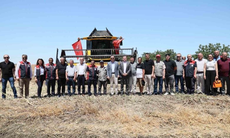 silivride konala ve bugday hasadi basladi ae5b516bcdba |