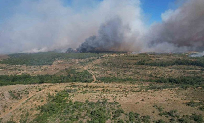 silivride tarim alanlarindaki yangin ormana sicradi 7ab11ba66be0 |