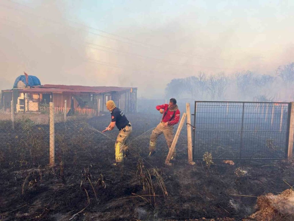 silivrideki orman yangini mangaldan cikti 1 gozalti 72865f69a38e |
