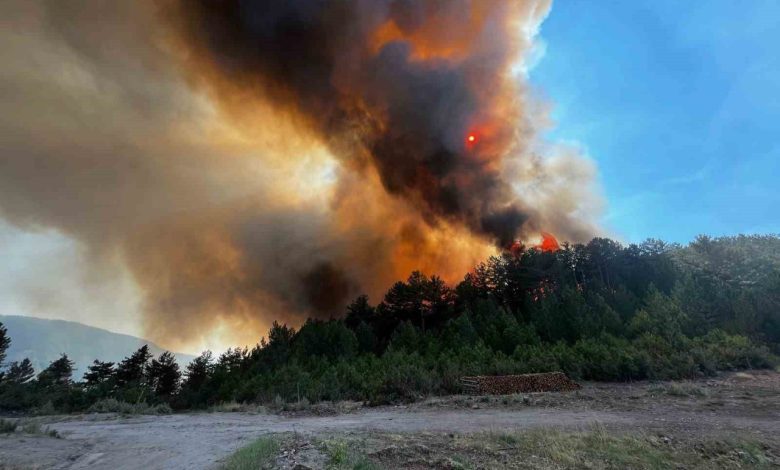 sindirgidaki orman yanginini sondurme calismalari suruyor fc9fe227dd18 |