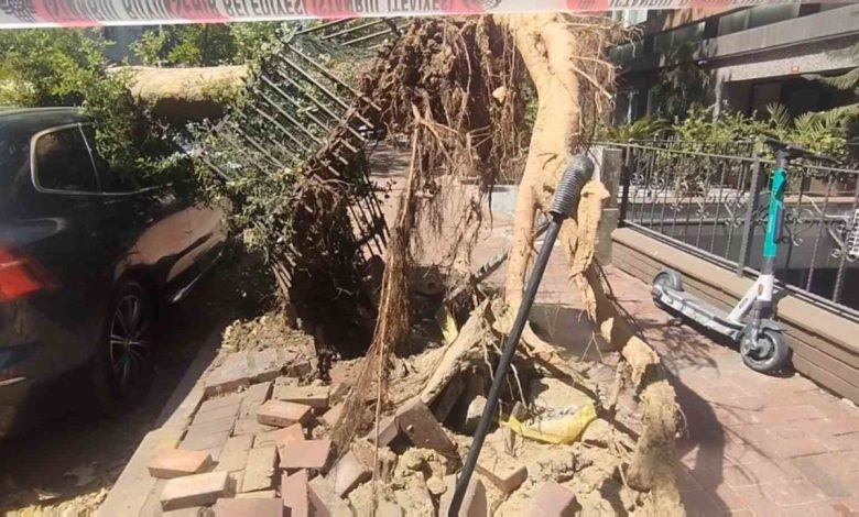 Şişli’de park halindeki araçların üzerine ağaç devrildi 1 sislide park halindeki araclarin uzerine agac devrildi 455ad5f9e681 |