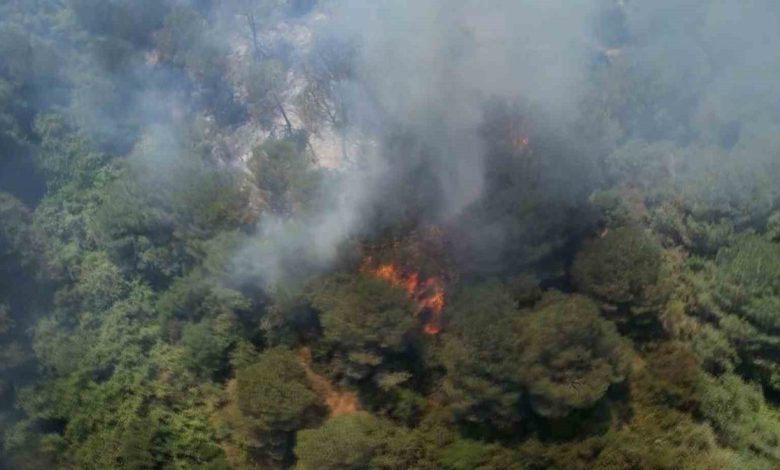Sultangazi Kent Ormanı’nda yangın: İtfaiye ekipleri alevlere müdahale ediyor 1 sultangazi kent ormaninda yangin itfaiye ekipleri alevlere mudahale ediyor 97208c6375d8 |