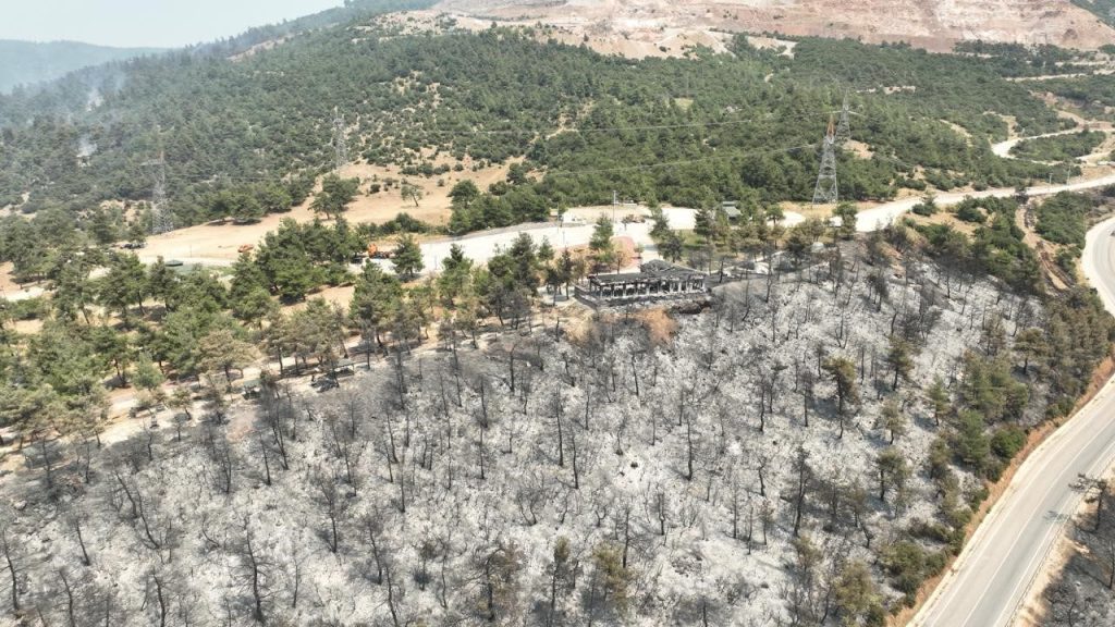 tarihinin en buyuk gursu yanginindan yurek burkan bu manzaralar kaldi 93909128e610 |