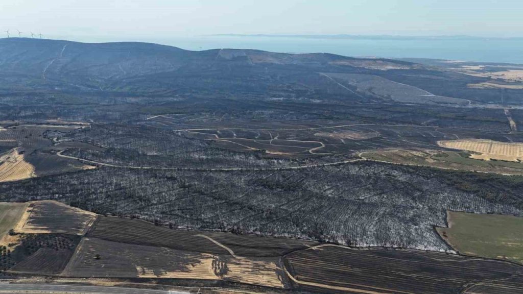 tekirdagdaki orman yangininda canakkalede 119 futbol sahasi buyuklugunde alan yandi 80813217d48f |