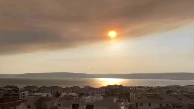 tekirdagdaki orman yangininin dumani canakkale bogazini kapladi ad5f566c61d0 |
