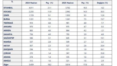 ticaret bakanligi 2025 yilinin ilk yarisinda ihracatta illerin performansini cikardi e4eecfdf5a6e |
