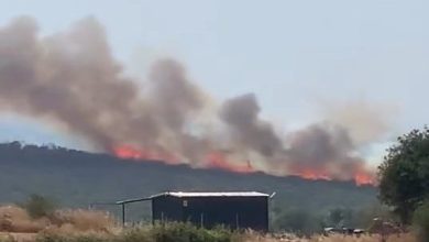 uluabat golunden defalarca sorti yaptilarbursada iki ayri noktada orman yangini b1c1c43cdfaf |