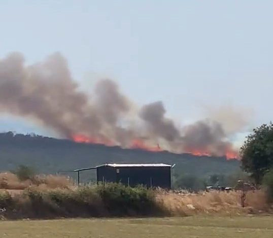 uluabat golunden defalarca sorti yaptilarbursada iki ayri noktada orman yangini b1c1c43cdfaf |