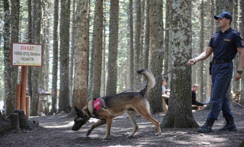 uludagin ormanlarinda jandarmadan 24 saat motorize devriye b3d7d0e2a716 |