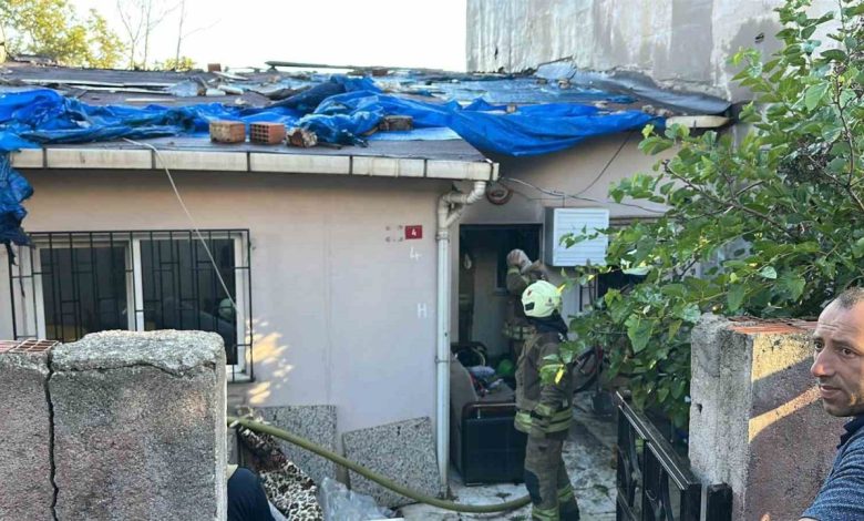 Ümraniye’de çakmakla oynayan çocuk yangın çıkardı 1 umraniyede cakmakla oynayan cocuk yangin cikardi 99ea3ca45726 |