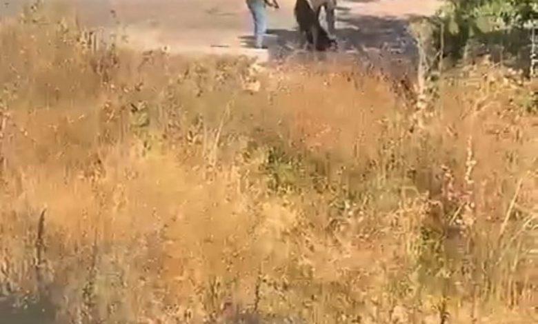 umraniyede eski sevgilisinin basina silah dayayip darp etti aa2243773e3f |