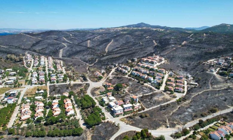 yangindan geriye gozyasi kaldi 5cc5560e8055 |