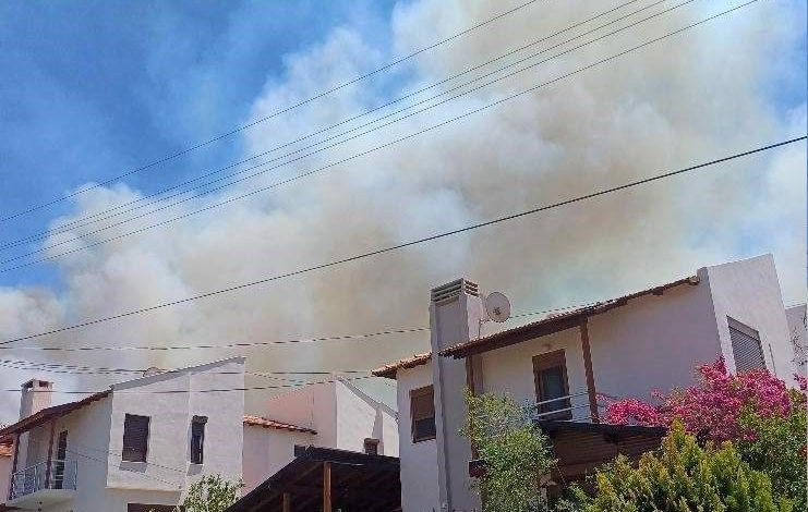 Yangınlar Çeşme’ye sıçradı: Otluk alanda çıkan yangına müdahale sürüyor 1 yanginlar cesmeye sicradi otluk alanda cikan yangina mudahale suruyor 2c80287732e9 |