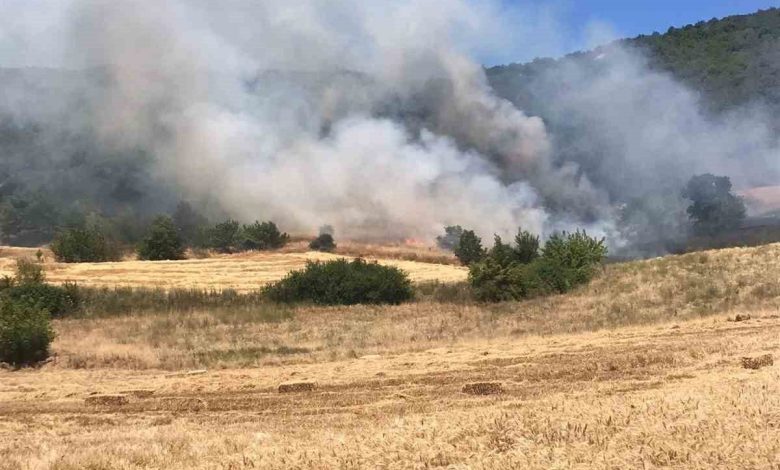 Yenişehir’de buğday tarlasında çıkan yangın ormana sıçradı 1 yenisehirde bugday tarlasinda cikan yangin ormana sicradi 66ffbd9bf7b1 |