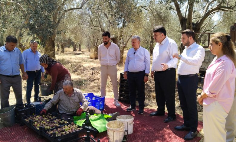 535317086 1086528190331263 3546387856083191439 n |