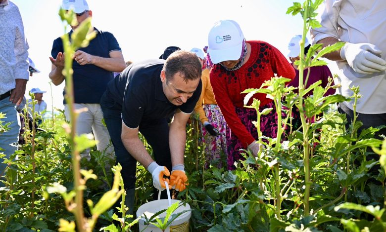 WhatsApp Gorsel 2025 08 28 saat 16.57.16 2a7dfb93 |