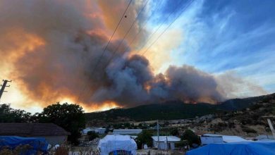 alevler ciftlikleri tehdit etti hayvanlar kurtarildi 39f54291b8ef |