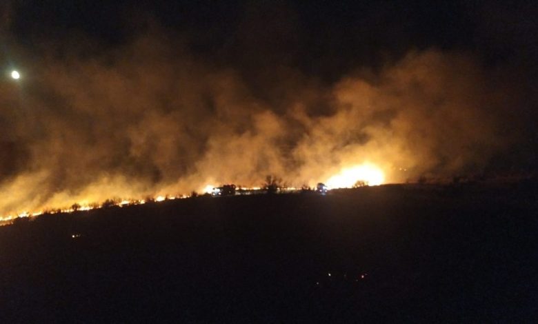 aliagada otluk alanda cikan yangin sonduruldu 04f0bf4fb8c7 |