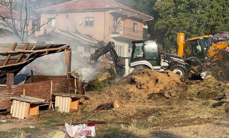 ankarada besi ciftliginde yangin b564acbf68b0 |