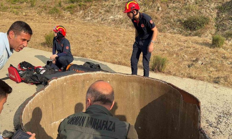 Arnavutköy’de 25 metrelik kuyuya inen bir kişi mahsur kaldı 1 arnavutkoyde 25 metrelik kuyuya inen bir kisi mahsur kaldi e0161bbd8994 |