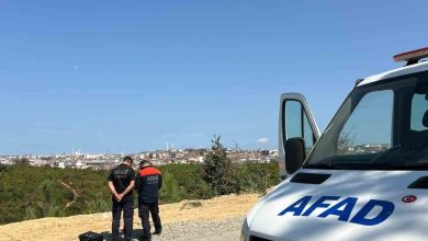 arnavutkoyde kaybolan 90 yasindaki alzheimer hastasindan 8 gundur haber alinamiyor 01ada1454a9f |