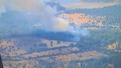 ayvacikta ormanlik alanda yangina mudahale devam ediyor 69c05f39f87f |