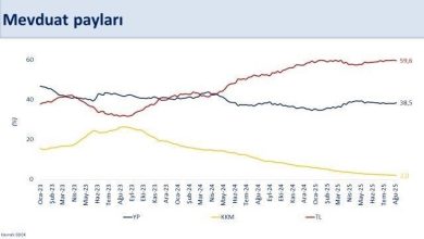 bakan simsek brut rezervler 1744 milyar dolar ile tarihi zirvede dbc68605737b |