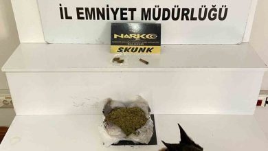 balikesirde 485 gram esrar ele gecirildi 2ff9e86bbb73 |