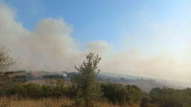 balikesirde arazi yangini 2d6b4abc62c6 |