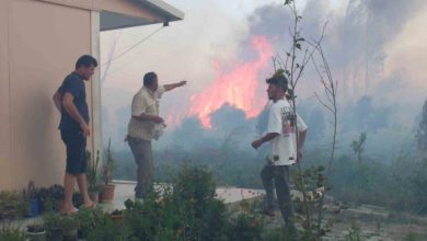 balikesirde sazlik yangini 995 haneli siteyi duman altindan birakti 8fbfb66f3025 |