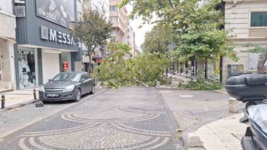 bandirmada gece yarisi firtina agaclar devrildi araclar zarar gordu 44263c040f62 |