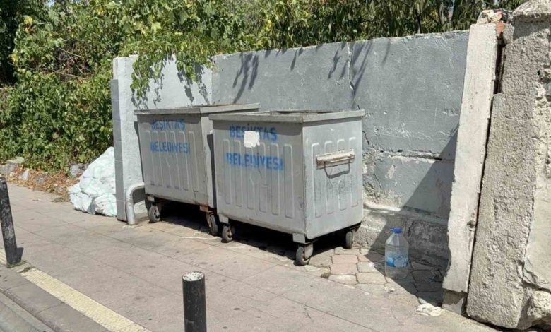 Beşiktaş’ta çöpte bebek cesedi bulundu 1 besiktasta copte bebek cesedi bulundu 010ccf8c94e2 |