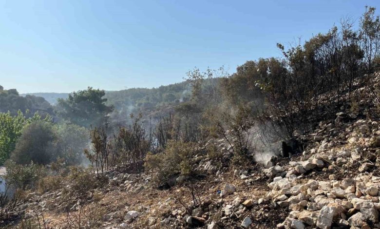 Buca yangını kontrol altında 1 buca yangini kontrol altinda caa0cd76449a |