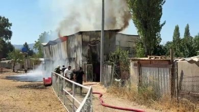 bursada hayvan dami yandi 1 at 2 keci telef oldu 6e7af717dfbe |
