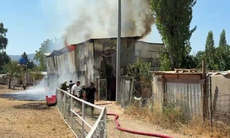 Bursa’da hayvan damı yandı: 1 at, 2 keçi telef oldu 1 bursada hayvan dami yandi 1 at 2 keci telef oldu 6e7af717dfbe |
