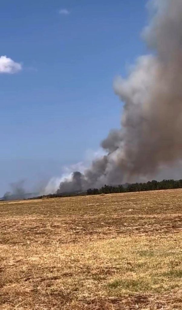 bursada orman yangini cok sayida ekip mudahale ediyor 69eb03182f71 |