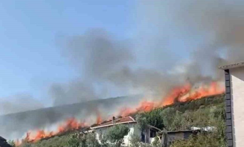 Bursa’da orman yangını... 1 bursada orman yangini c456f3053214 |