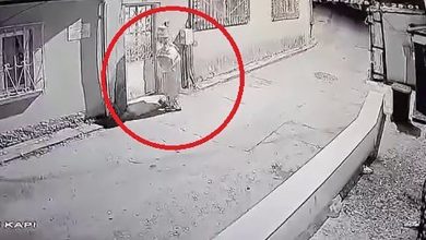 bursada palyaco kiyafetli sahis gozaltina alindi d0e7bb3dffbb |