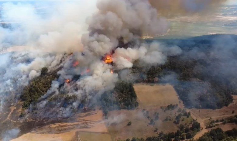 bursadaki orman yangini kontrol altina alindi 487039b205ad |