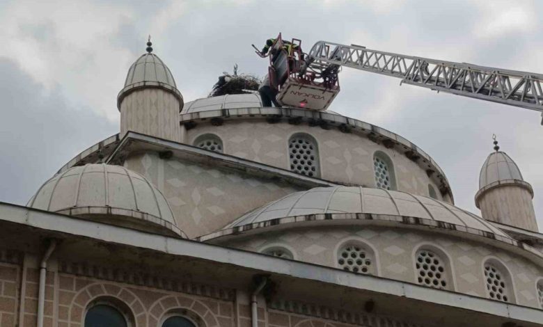 cami kubbesinde mahsur kalan leylegi itfaiye kurtardi 6fd5f6abcd95 |