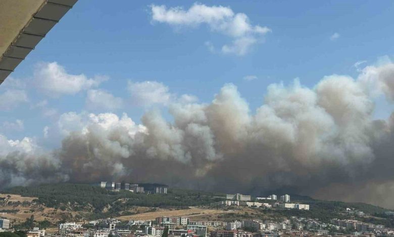 canakkale havalimani gecici olarak kapatildi 4ecdacf7cee1 |