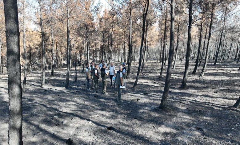 Çanakkale Orman Bölge Müdürü Demirci: "2025 yılında 130 adet orman yangınında 8 bin 196 hektar orman alanımız zarar görmüştür" 1 canakkale orman bolge muduru demirci 2025 yilinda 130 adet orman yangininda 8 bin 196 hektar orman alanimiz zarar gormustur fd7f1442ad1b |