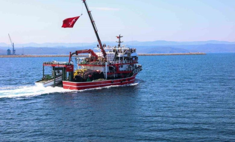 Çanakkale’de balıkçılar ’Vira bismillah’ diyerek denize açıldı 1 canakkalede balikcilar vira bismillah diyerek denize acildi 5c9388377aa2 |