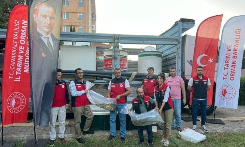 canakkalede baraj ve goletlere 2 milyon aynali sazan yavrusu birakildi 037c5b0d82bb |