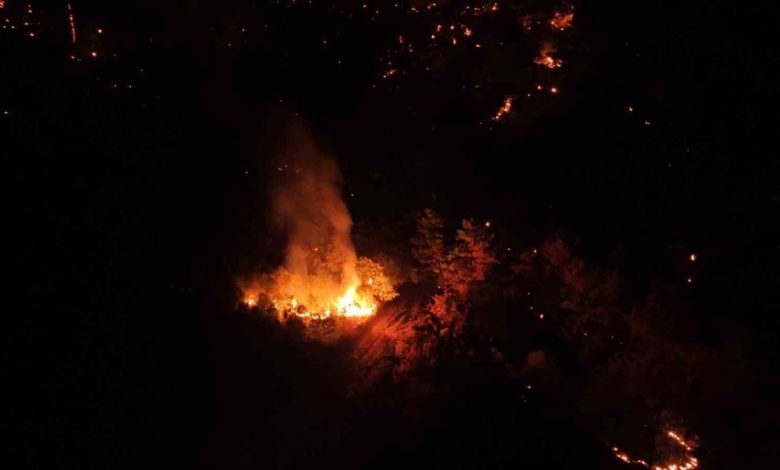 canakkalede gece saatlerinde cikan orman yangini kontrol altina alindi aa4e96e6448c |