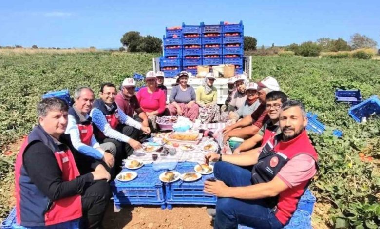 Çanakkale’de İl Tarım Müdürlüğünden üreticilere domates hasadı ziyareti 1 canakkalede il tarim mudurlugunden ureticilere domates hasadi ziyareti bbefe6c0a5ac |