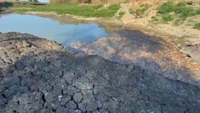 canakkalede kocabas cayi alarm verdi toplu balik olumleri yasandi 48950ee04e73 |